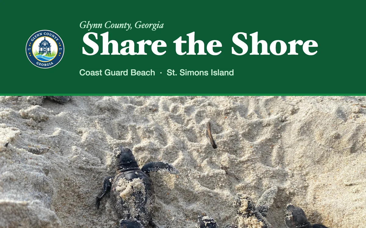 The “Share the Shore” sign: the Glynn County seal above a photograph of sea turtle hatchlings.